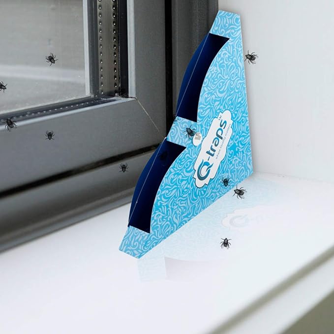 Qtraps Window Fly Traps | Disposable Indoor Fly Catchers w/Non-Toxic Sticky Glue & Decorative Blue Design | Fold Box & Place in Corner of Sill to Catch & Hide Flying Pests