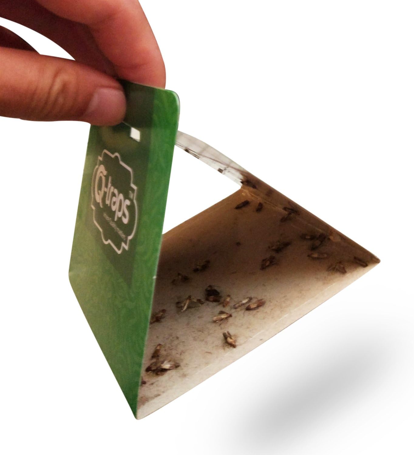 Q-Traps Pantry Moth Traps - Safe, Nontoxic, Insecticide & Odor Free, Pheromone Attractant Traps for Common Kitchen Moths