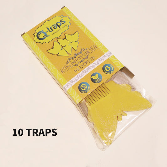 Qtraps Sticky Insect Traps – Yellow Flying Bug Catcher for Indoor House Plant, Organic Garden, Outdoor Greenhouse &amp; More – Butterfly Shaped Paper Trap w/Eco Friendly, Non Toxic Glue – Bulk 10 Traps